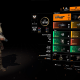 Healer Build